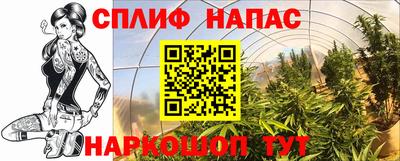 тгк Краснознаменск