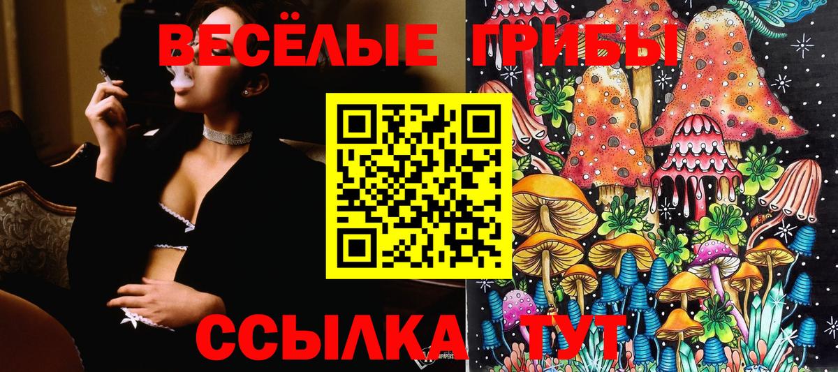 Ефремов  наркота  Вход с VPN  Галлюциногенные грибы ЛСД 
