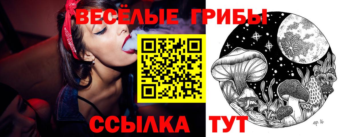 Псилоцибиновые грибы Magic Shrooms Ефремов